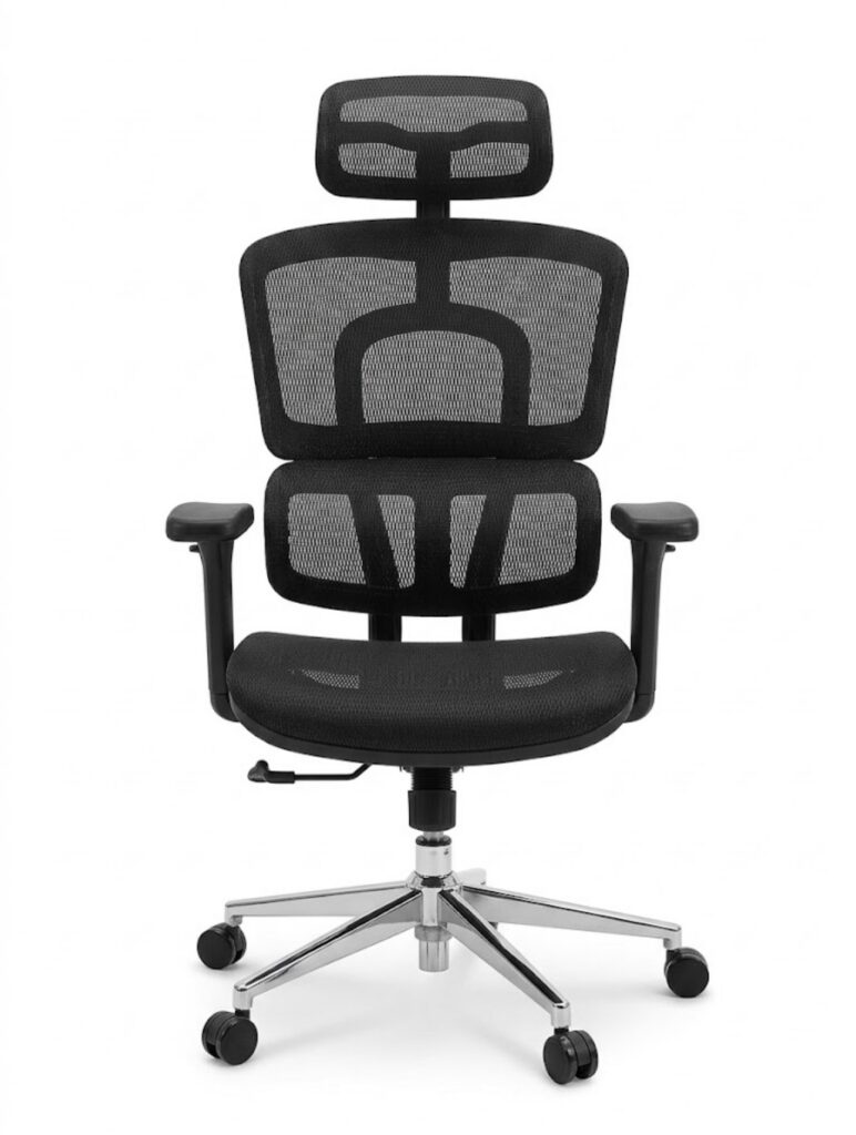 Ergonomic Highback Office Chair